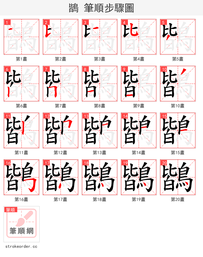 鶛 的笔顺分步演示