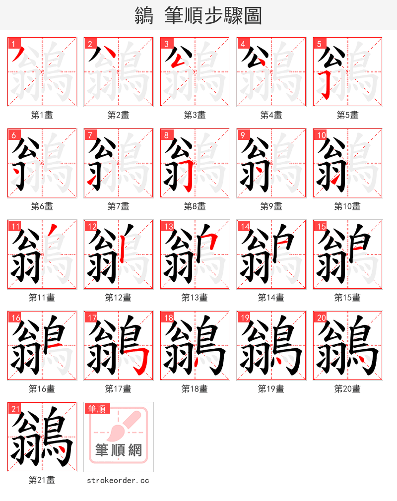 鶲 的笔顺分步演示
