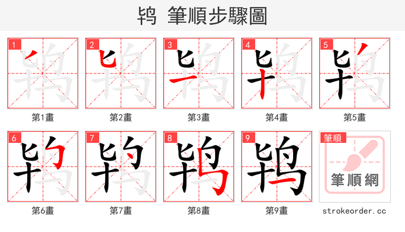 鸨 的笔顺分步演示