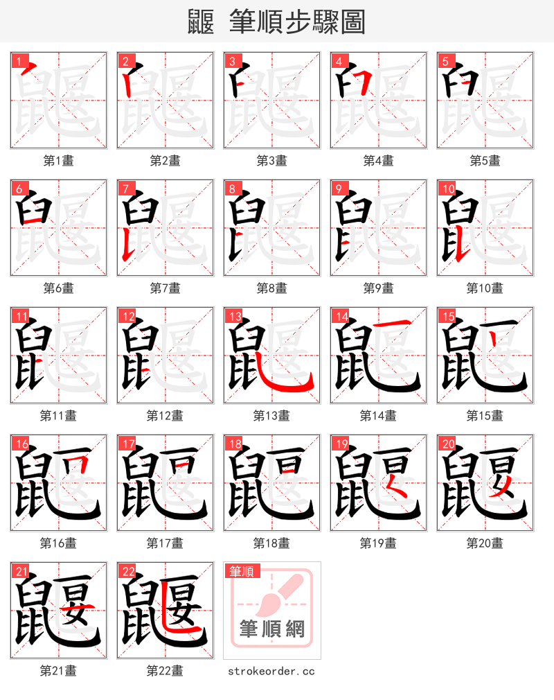 鼴 的笔顺分步演示