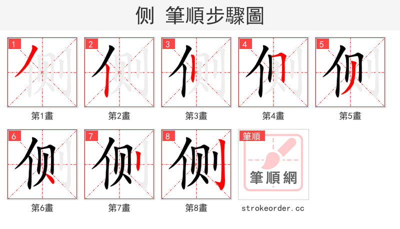 侧 的笔顺分步演示（一笔一画写字）