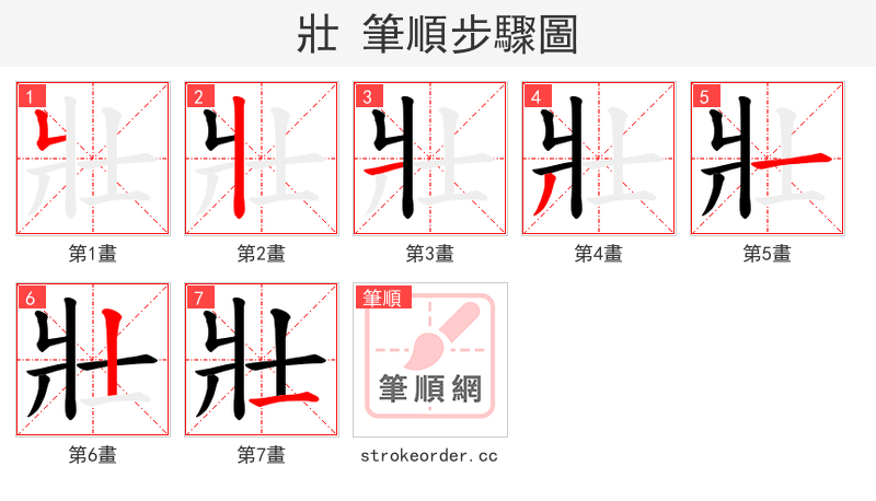 壯 的笔顺分步演示（一笔一画写字）