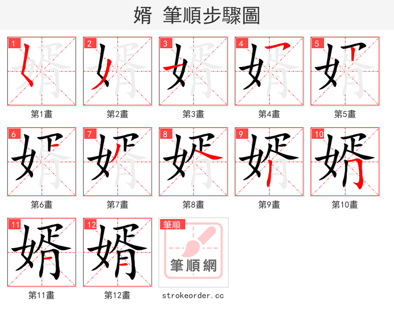婿 的笔顺分步演示（一笔一画写字）
