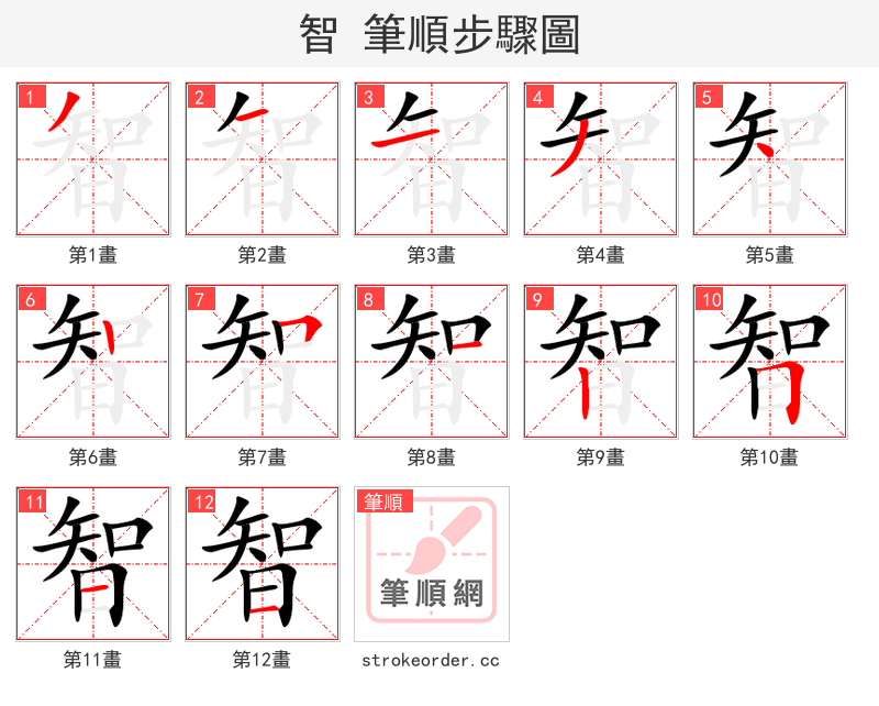 智 的笔顺分步演示（一笔一画写字）