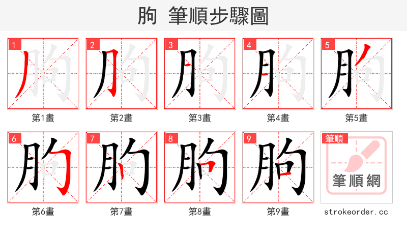 朐 的笔顺分步演示（一笔一画写字）