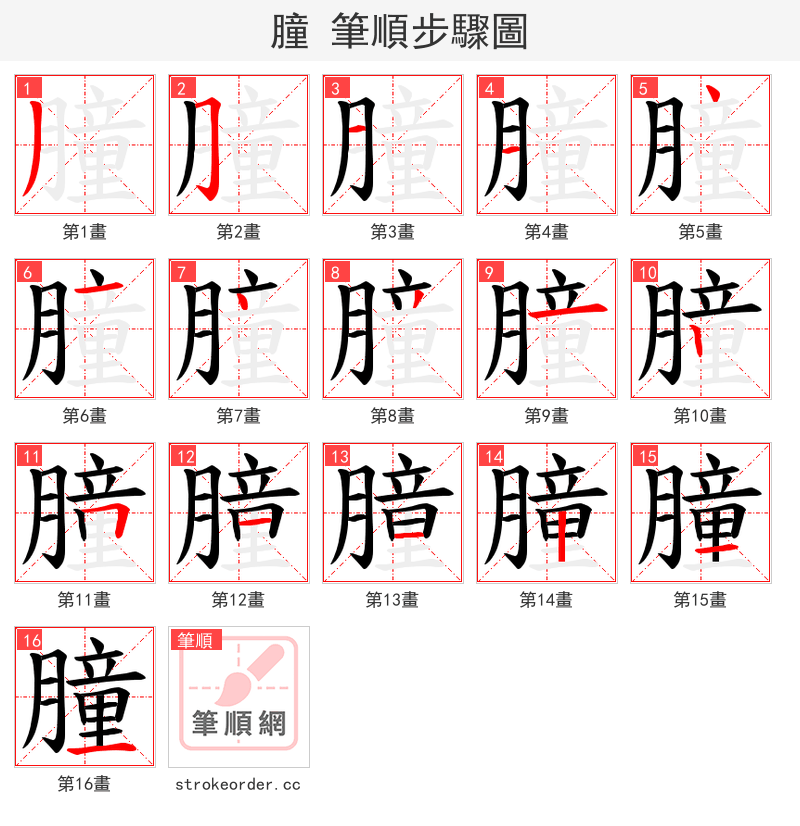 朣 的笔顺分步演示（一笔一画写字）