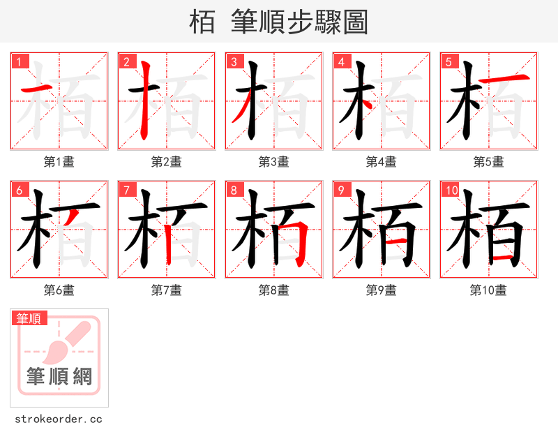 栢 的笔顺分步演示（一笔一画写字）