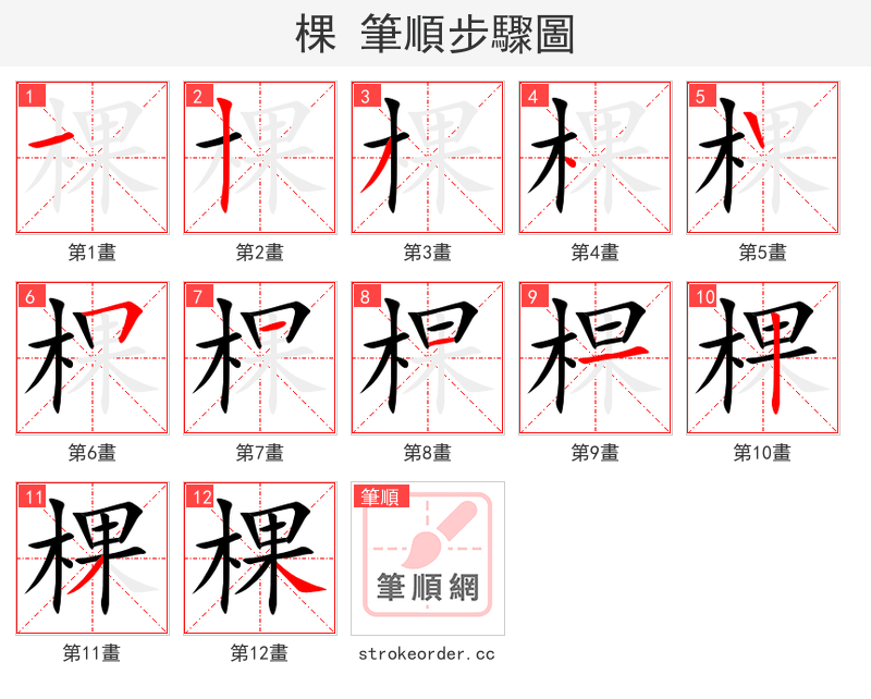 棵 的笔顺分步演示（一笔一画写字）