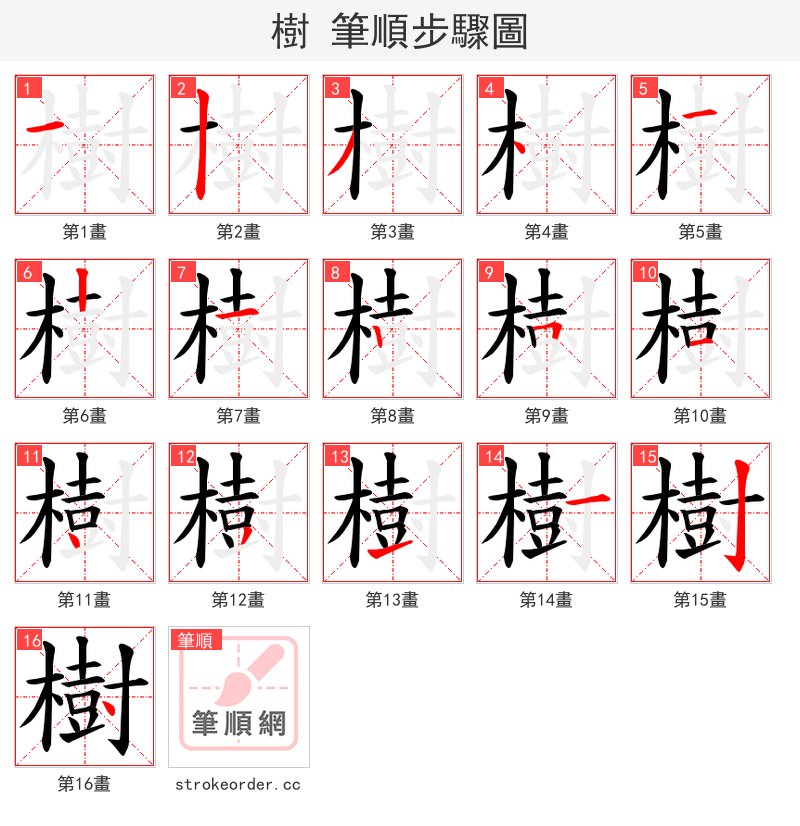 樹 的笔顺分步演示（一笔一画写字）