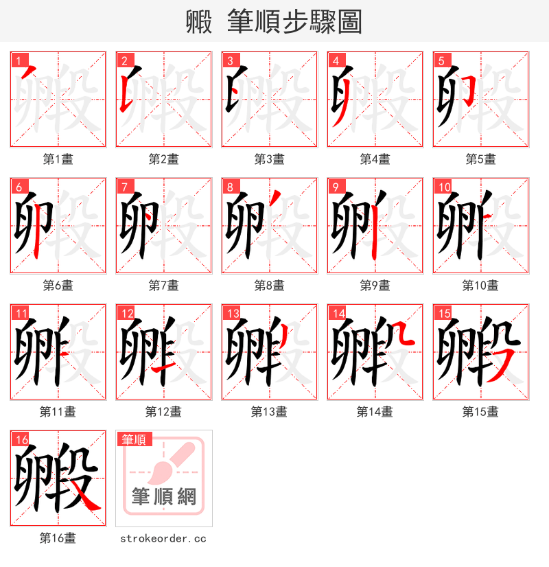 毈 的笔顺分步演示（一笔一画写字）