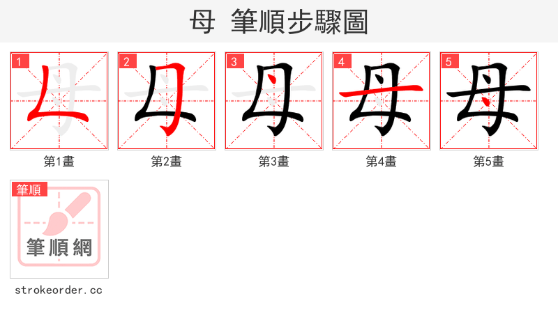 母 的笔顺分步演示（一笔一画写字）