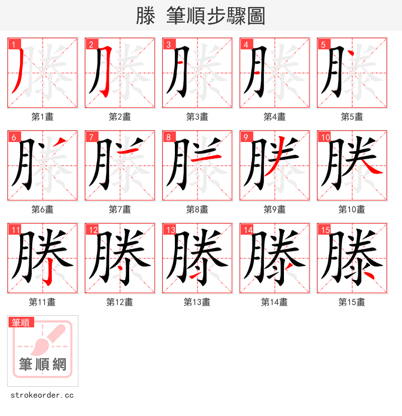 滕 的笔顺分步演示（一笔一画写字）