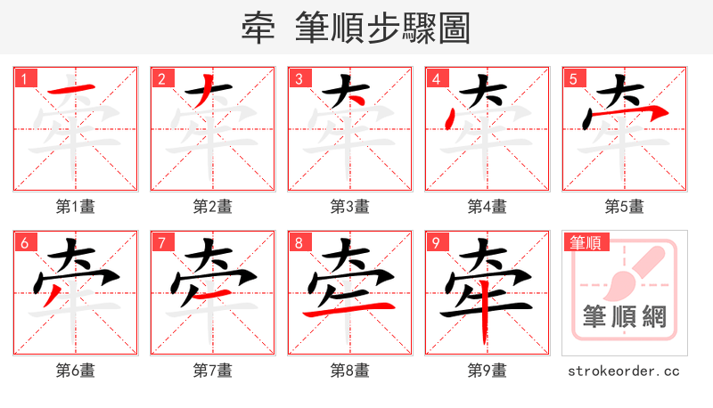 牵 的笔顺分步演示（一笔一画写字）