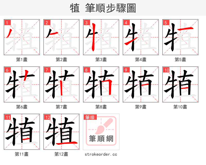 犆 的笔顺分步演示（一笔一画写字）