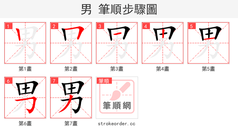 男 的笔顺分步演示（一笔一画写字）
