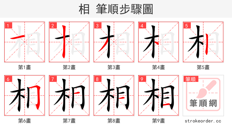 相 的笔顺分步演示（一笔一画写字）