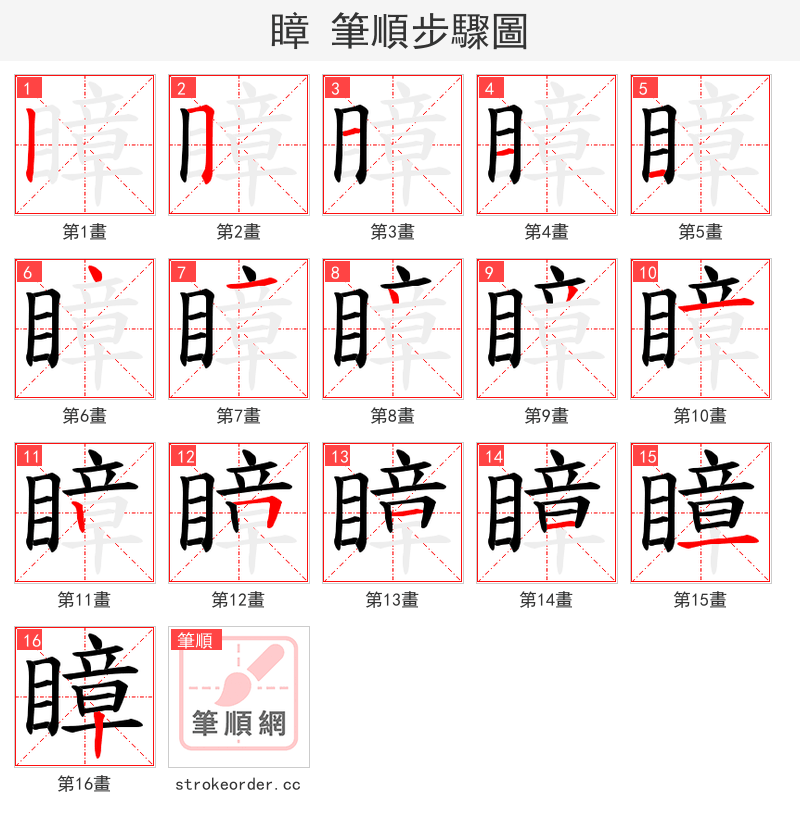瞕 的笔顺分步演示（一笔一画写字）