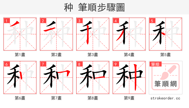 种 的笔顺分步演示（一笔一画写字）