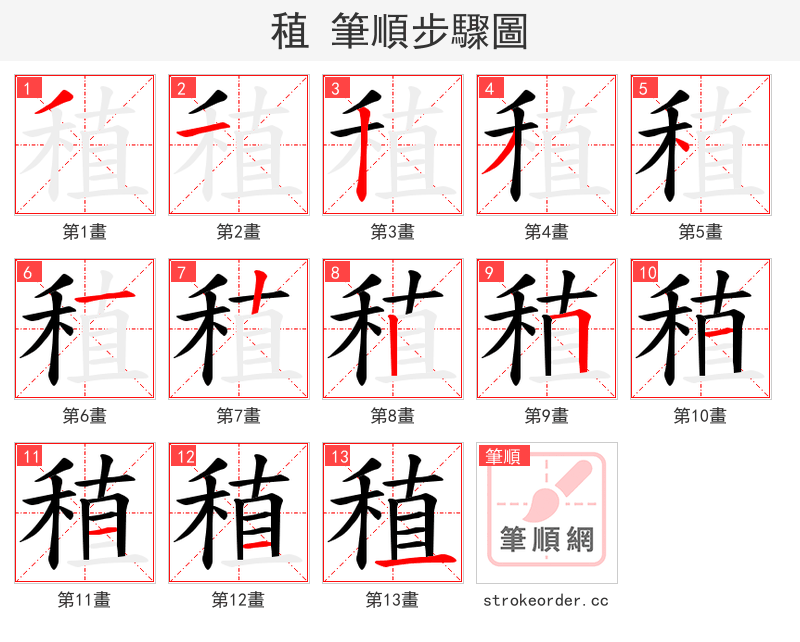 稙 的笔顺分步演示（一笔一画写字）