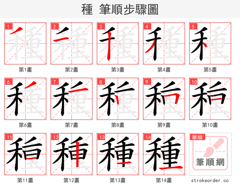 種 的笔顺分步演示（一笔一画写字）