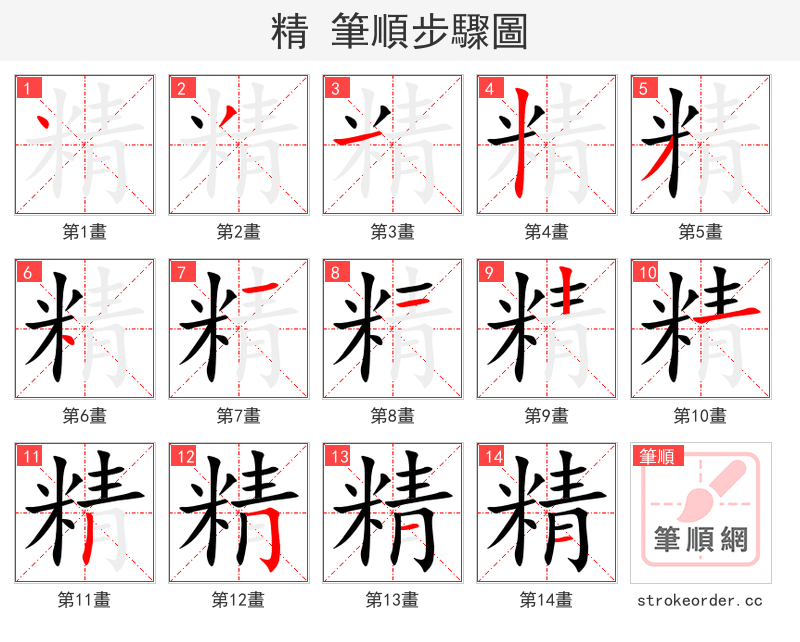 精 的笔顺分步演示（一笔一画写字）