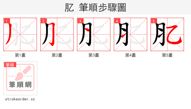 肊 的笔顺分步演示（一笔一画写字）