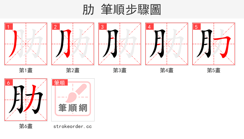 stroke order steps of 肋