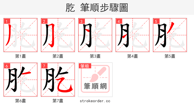 肐 的笔顺分步演示（一笔一画写字）