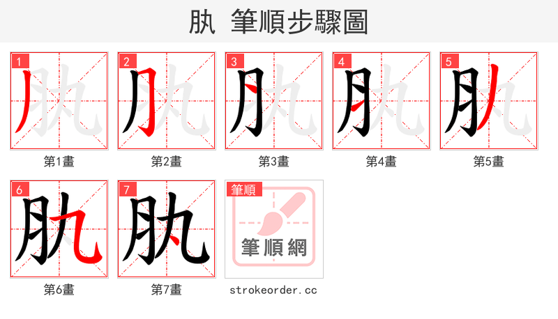 肒 的笔顺分步演示（一笔一画写字）