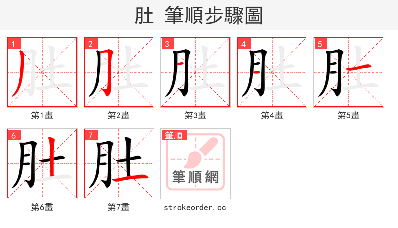 肚 的笔顺分步演示（一笔一画写字）