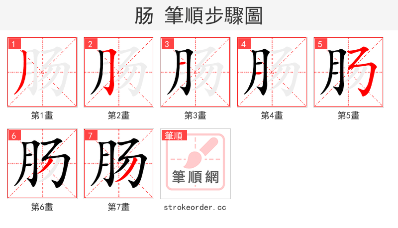 肠 的笔顺分步演示（一笔一画写字）