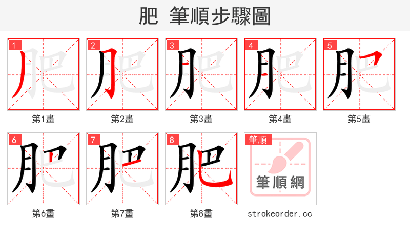 肥 的笔顺分步演示（一笔一画写字）