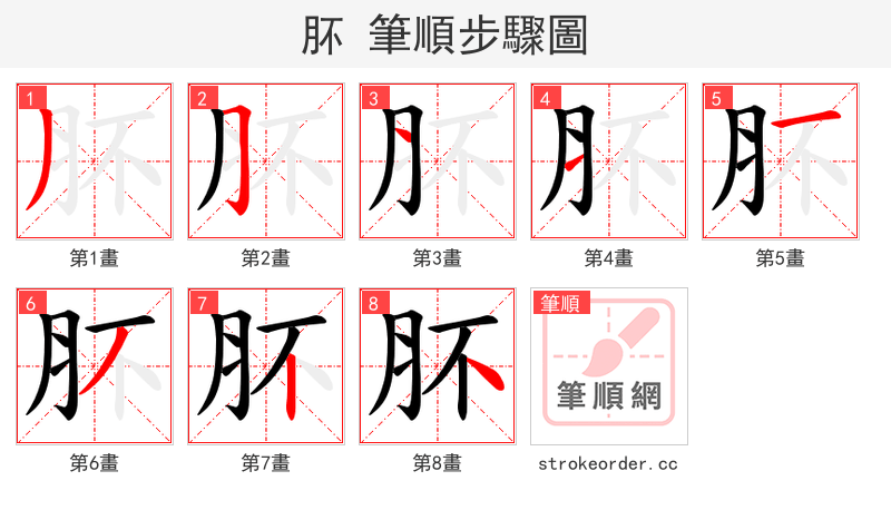 肧 的笔顺分步演示（一笔一画写字）