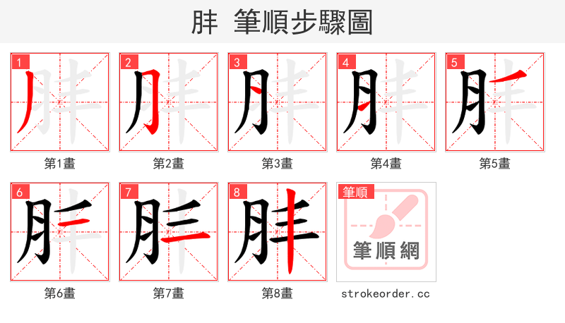肨 的笔顺分步演示（一笔一画写字）