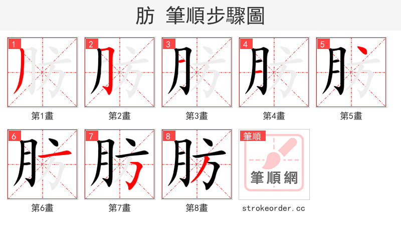 stroke order steps of 肪