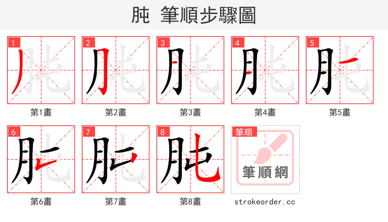 肫 的笔顺分步演示（一笔一画写字）