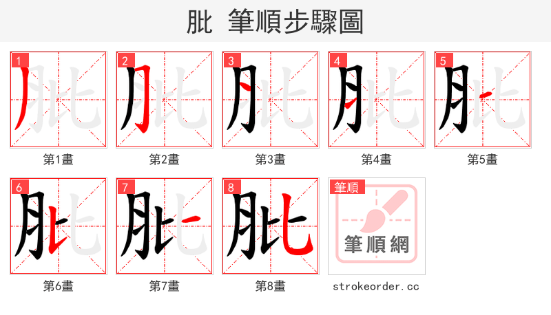 肶 的笔顺分步演示（一笔一画写字）