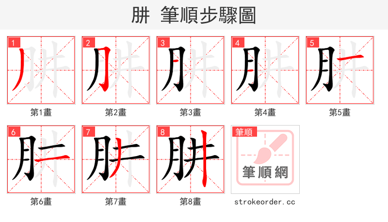 肼 的笔顺分步演示（一笔一画写字）