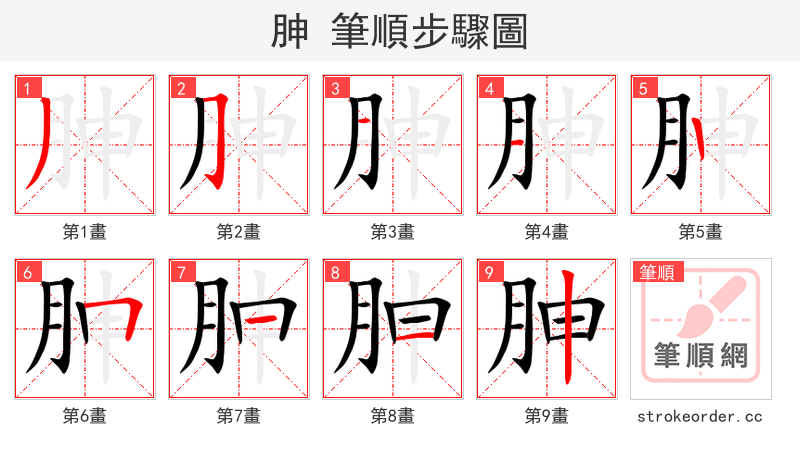 胂 的笔顺分步演示（一笔一画写字）