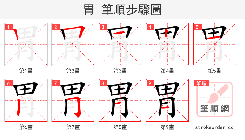 胃 的笔顺分步演示（一笔一画写字）