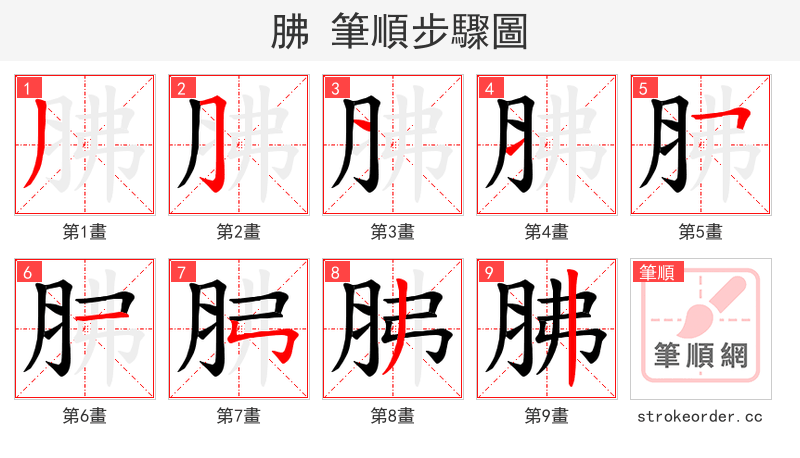 胇 的笔顺分步演示（一笔一画写字）