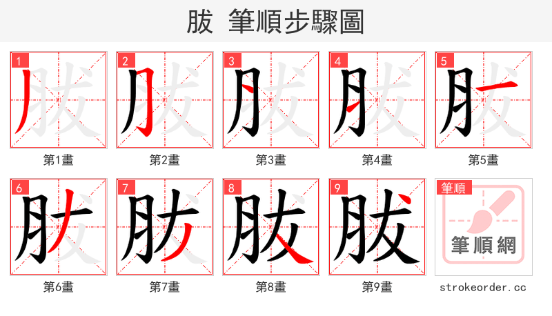 胈 的笔顺分步演示（一笔一画写字）