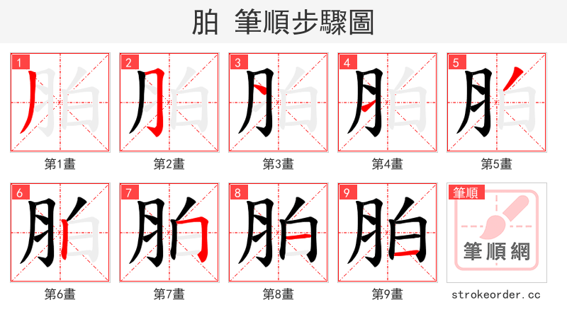 胉 的笔顺分步演示（一笔一画写字）