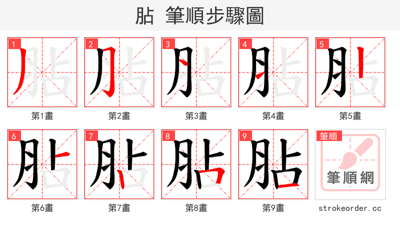 胋 的笔顺分步演示（一笔一画写字）