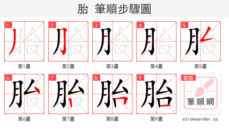 胎 的笔顺分步演示（一笔一画写字）