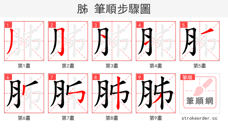 胏 的笔顺分步演示（一笔一画写字）