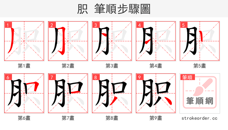 胑 的笔顺分步演示（一笔一画写字）
