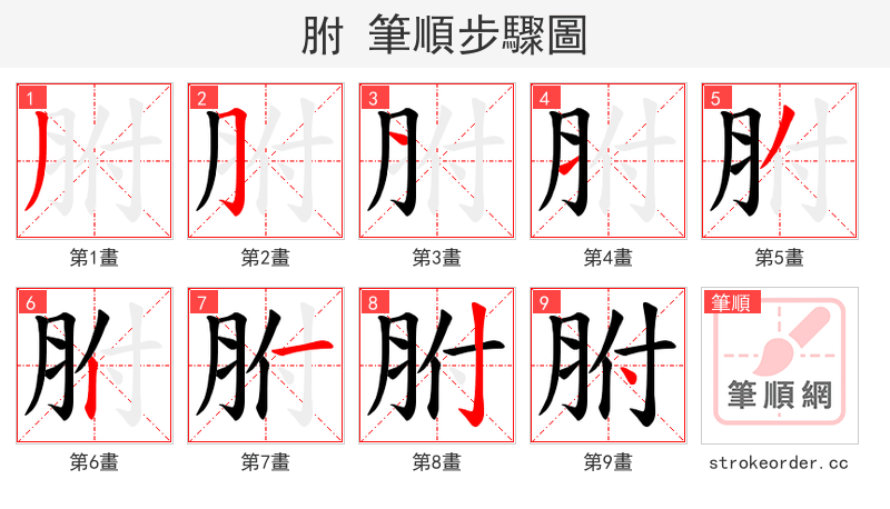 胕 的笔顺分步演示（一笔一画写字）