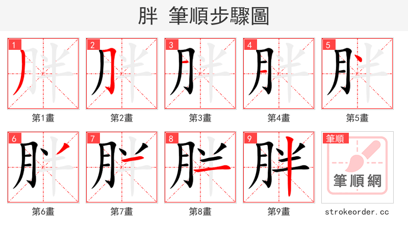 胖 的笔顺分步演示（一笔一画写字）