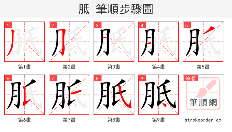 胝 的笔顺分步演示（一笔一画写字）